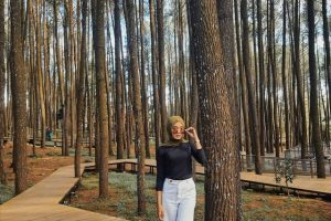 Hutan Pinus Mangunan